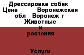 Дрессировка собак › Цена ­ 500 - Воронежская обл., Воронеж г. Животные и растения » Услуги   